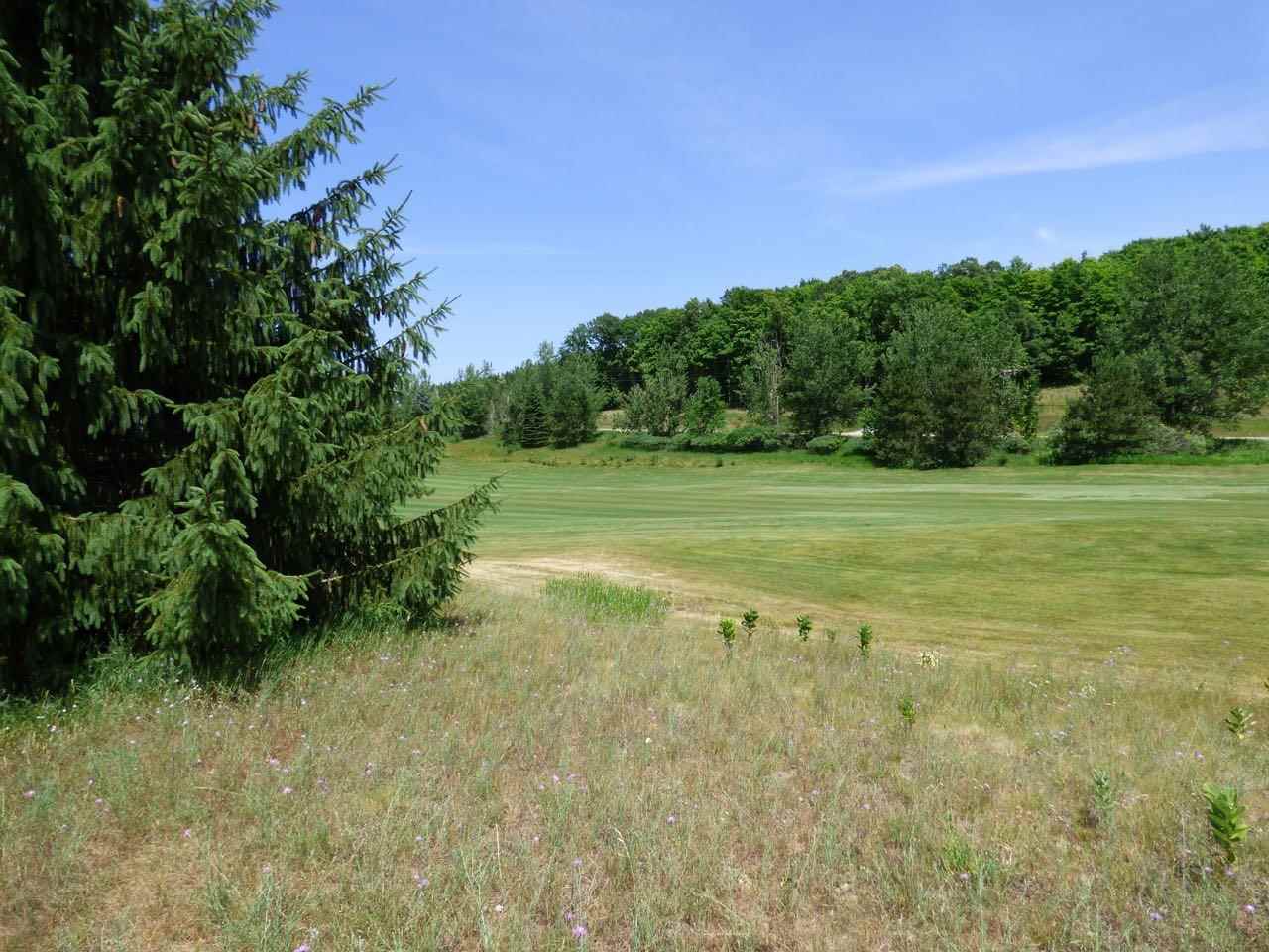 Unit 37 Golf Meadows Drive Bellaire MI 49615