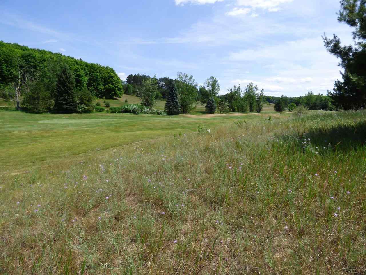 Unit 37 Golf Meadows Drive Bellaire MI 49615