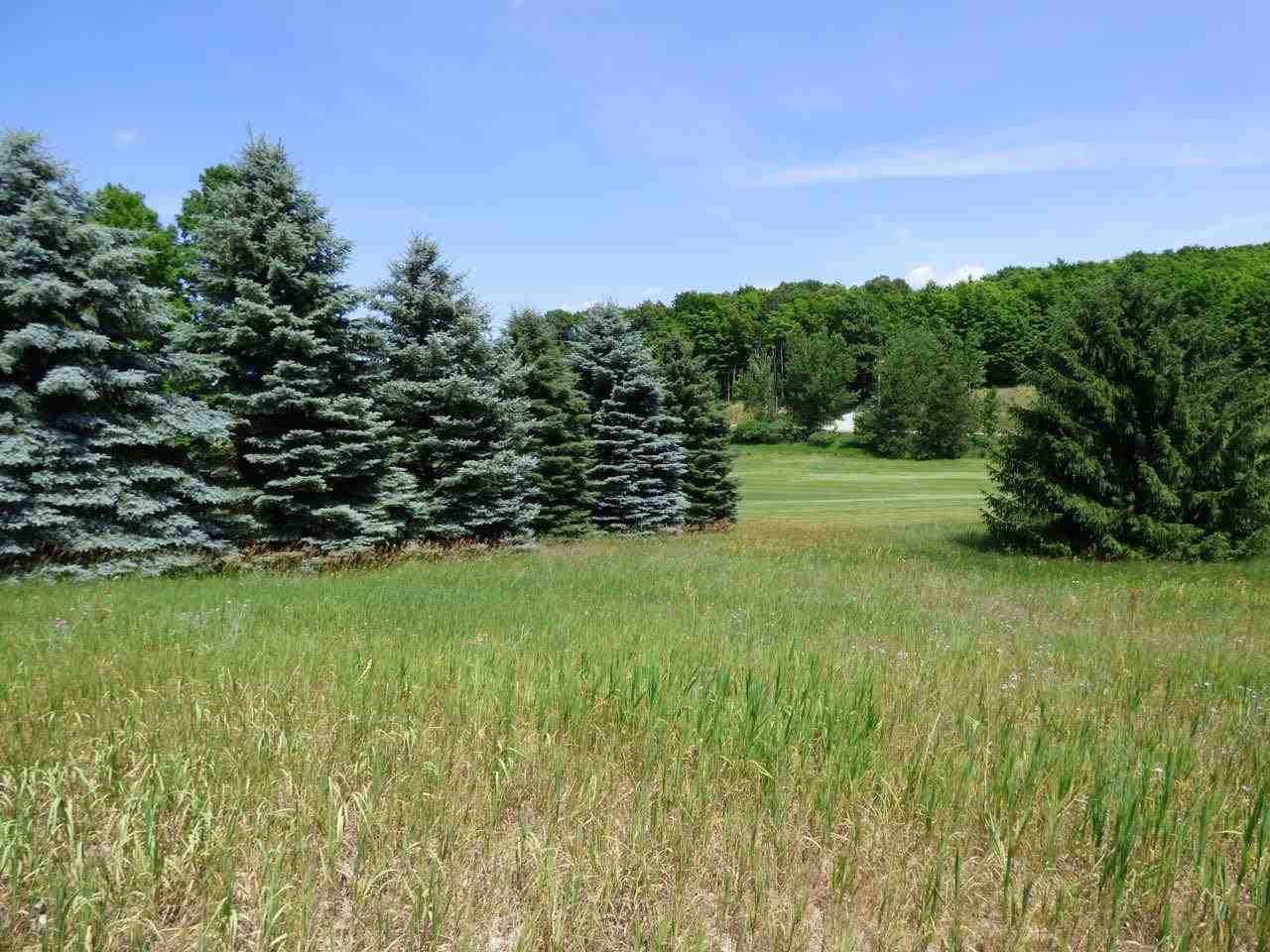 Unit 37 Golf Meadows Drive Bellaire MI 49615