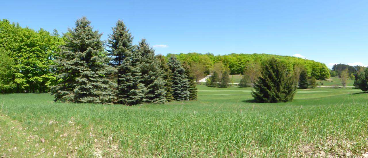 Unit 37 Golf Meadows Drive Bellaire MI 49615