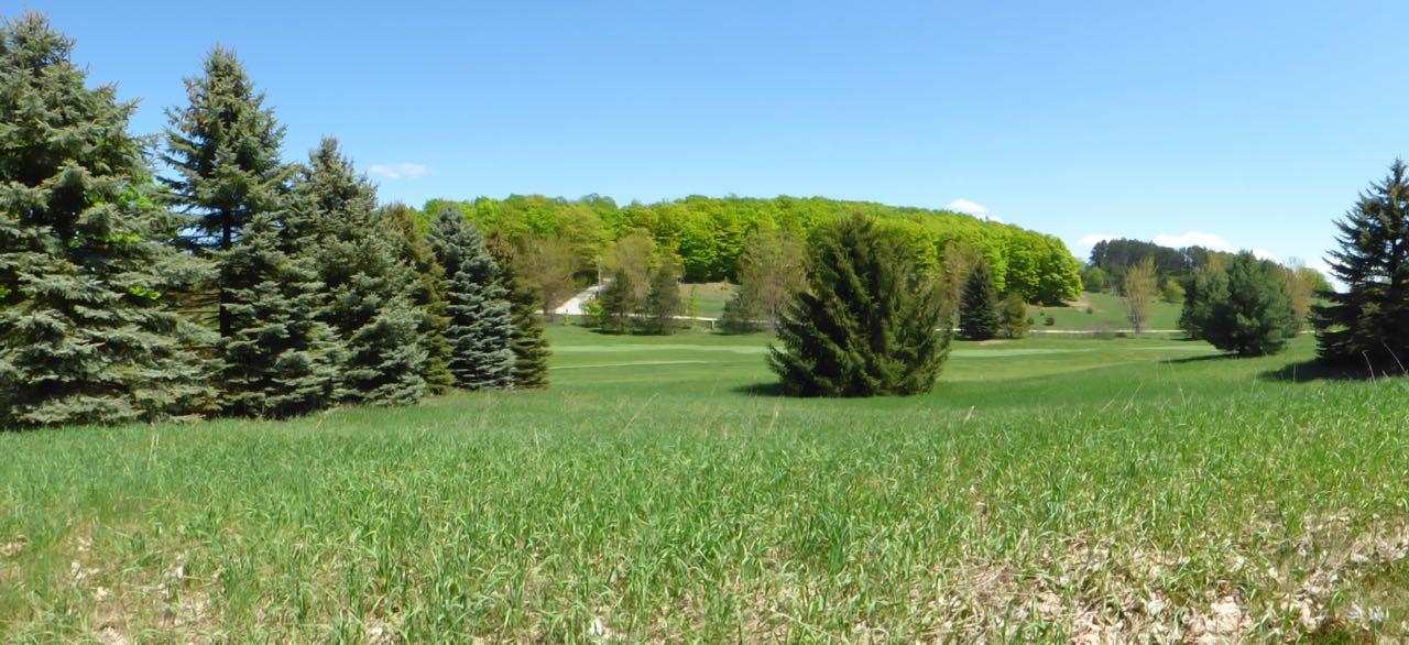 Unit 37 Golf Meadows Drive Bellaire MI 49615