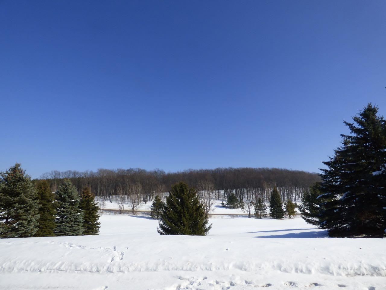 Unit 37 Golf Meadows Drive Bellaire MI 49615