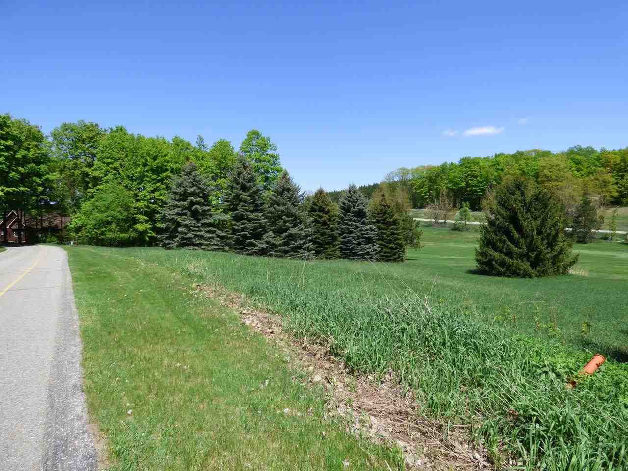 Unit 37 Golf Meadows Drive Bellaire MI 49615