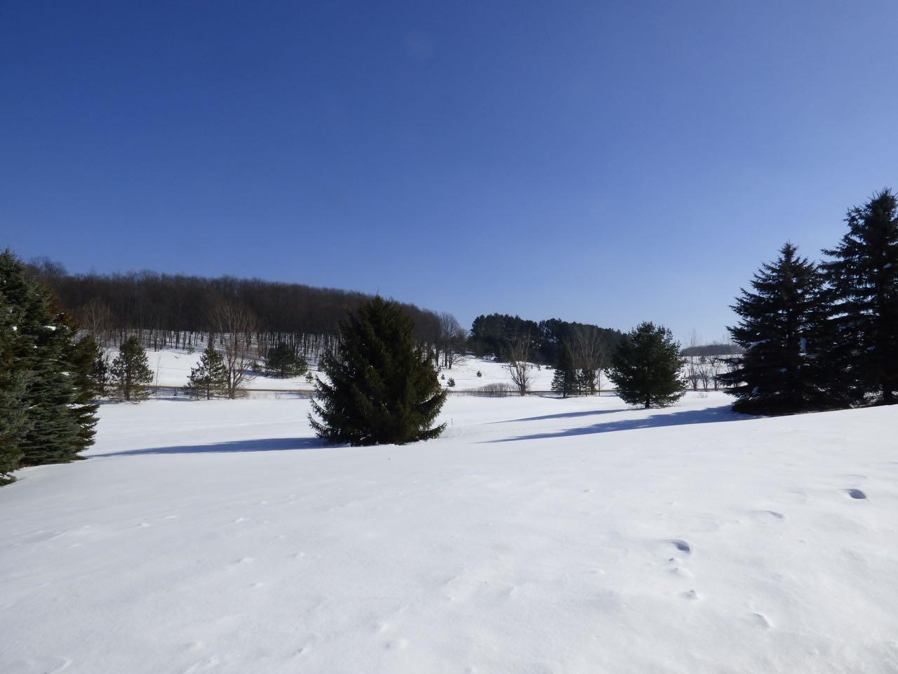 Unit 37 Golf Meadows Drive Bellaire MI 49615