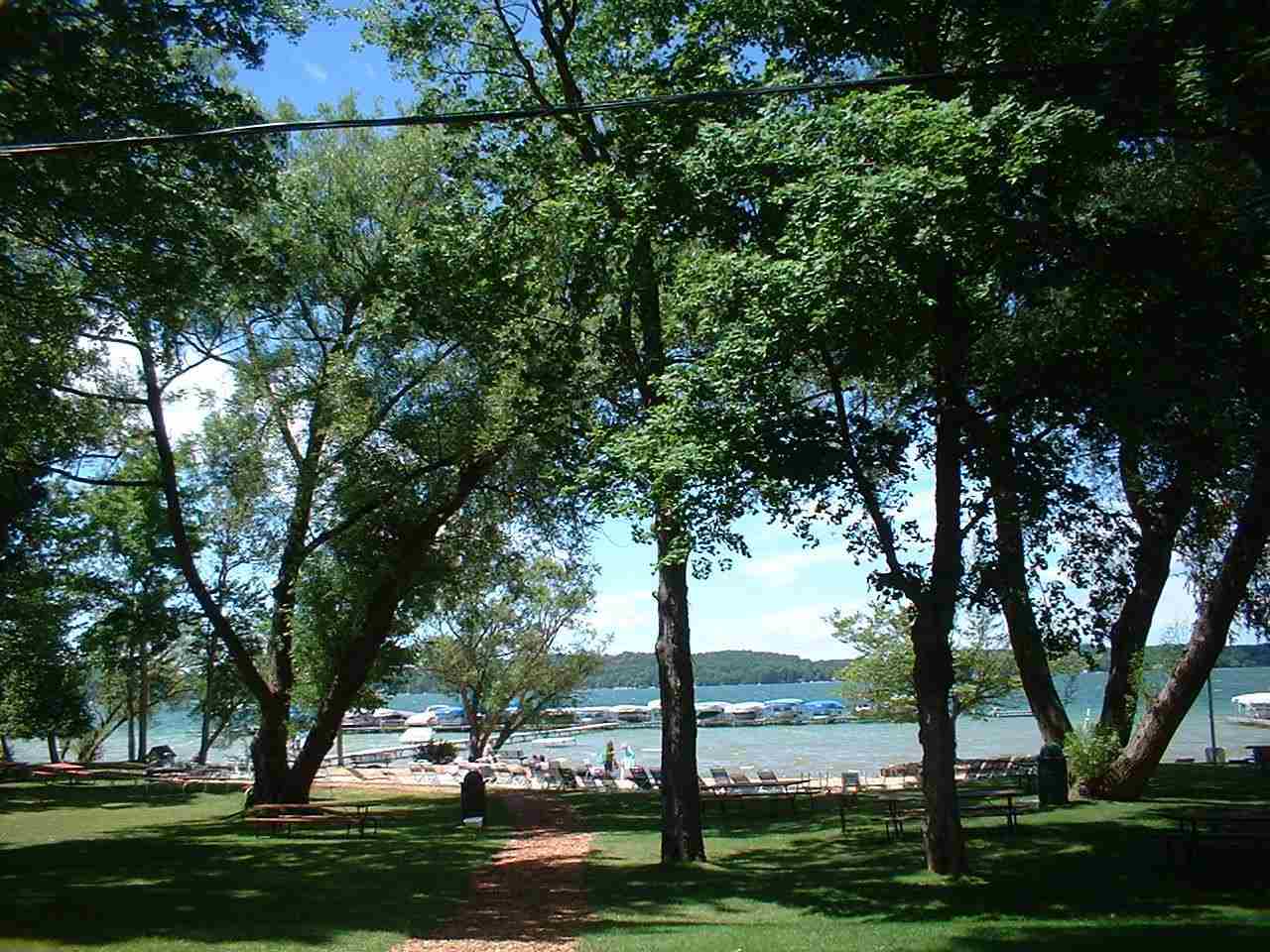 Unit 37 Golf Meadows Drive Bellaire MI 49615