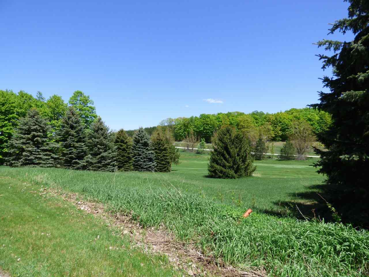 Unit 37 Golf Meadows Drive Bellaire MI 49615