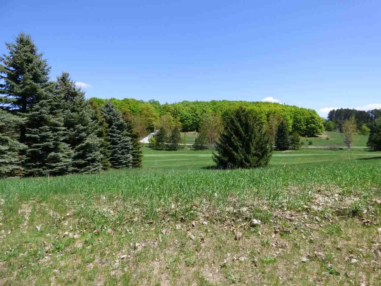 Unit 37 Golf Meadows Drive Bellaire MI 49615