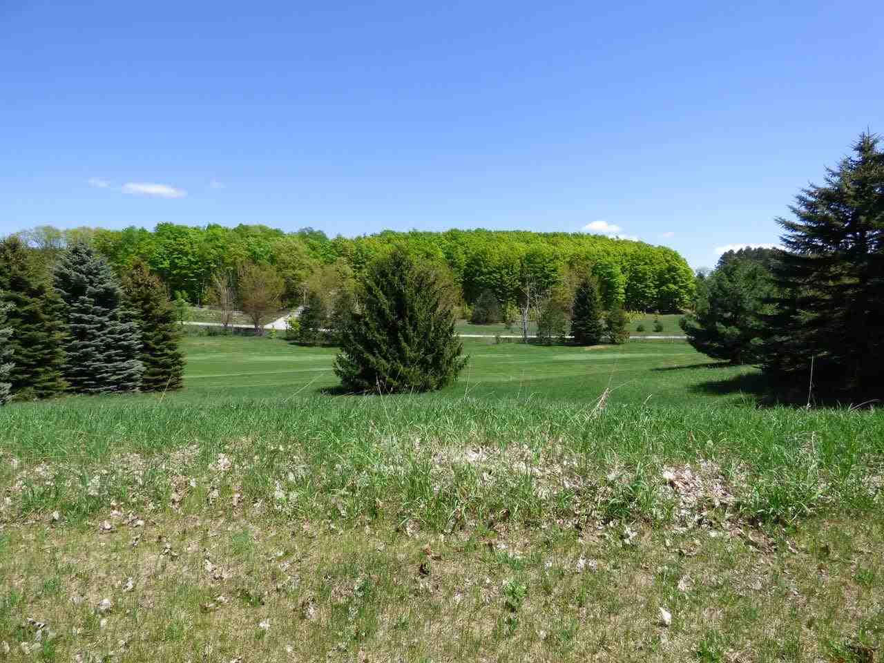 Unit 37 Golf Meadows Drive Bellaire MI 49615