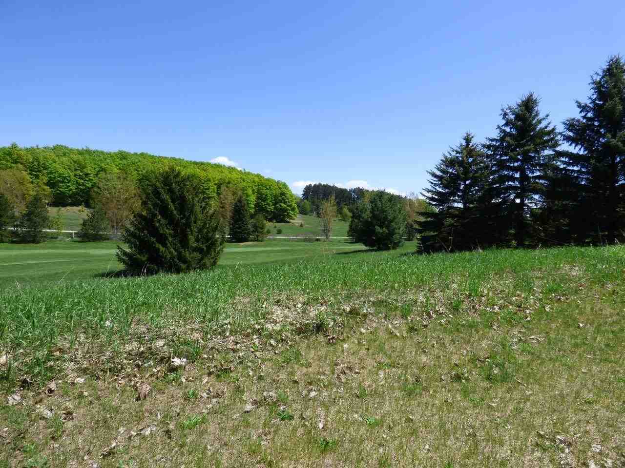 Unit 37 Golf Meadows Drive Bellaire MI 49615