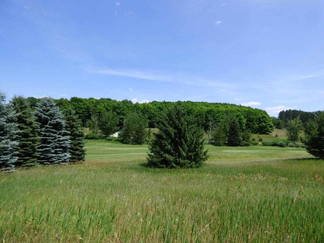 Unit 37 Golf Meadows Drive Bellaire MI 49615