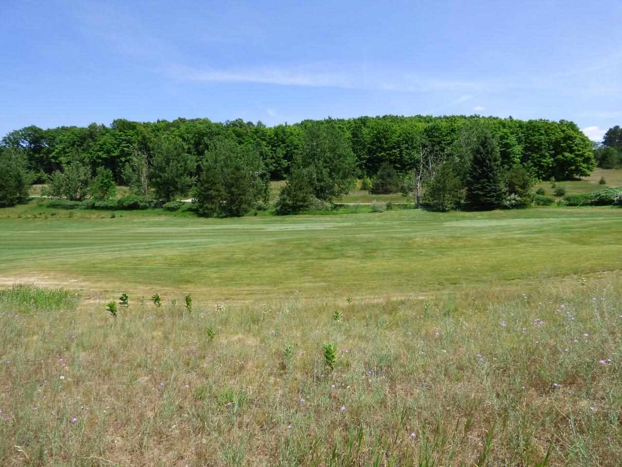 Unit 37 Golf Meadows Drive Bellaire MI 49615