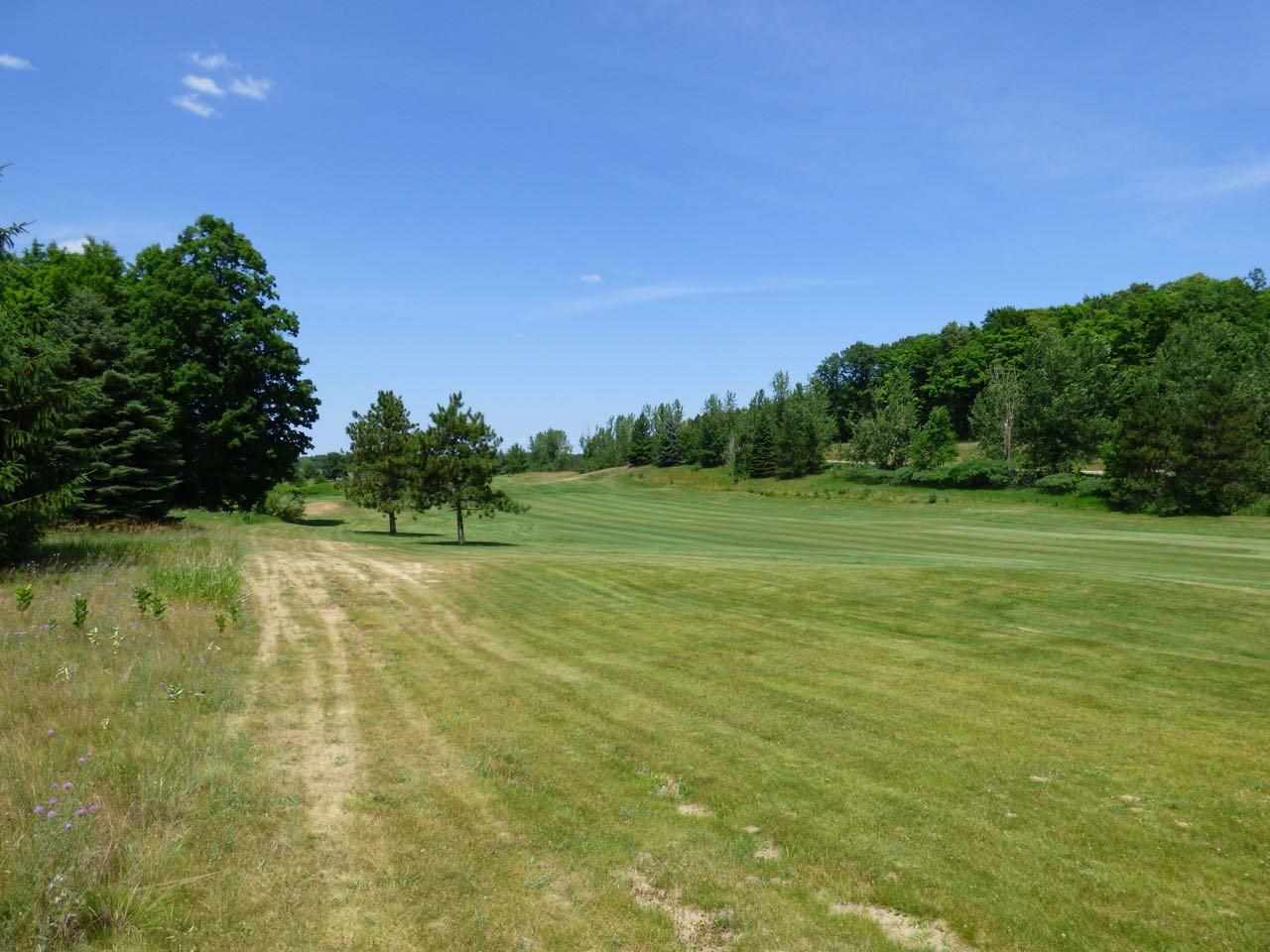 Unit 37 Golf Meadows Drive Bellaire MI 49615