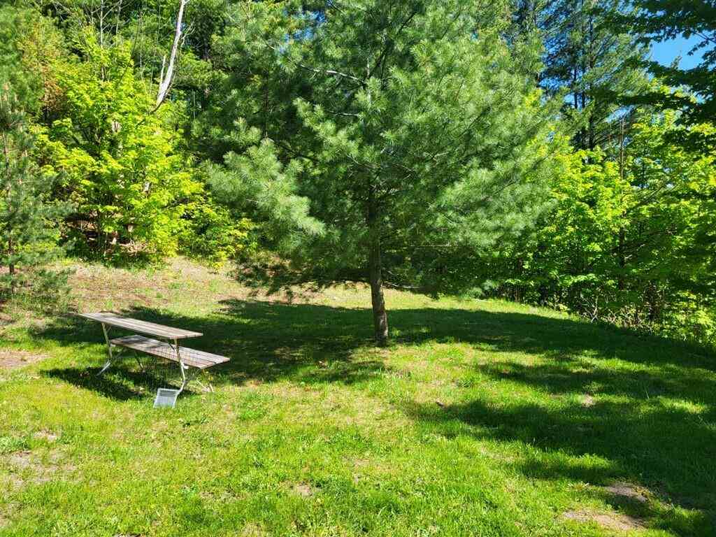 6997 N Conway Road Alanson MI 49706