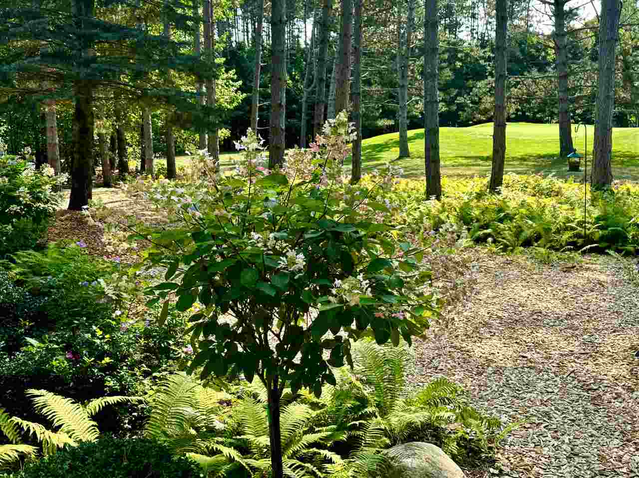 2226 Pinecrest Harbor Springs MI 49740