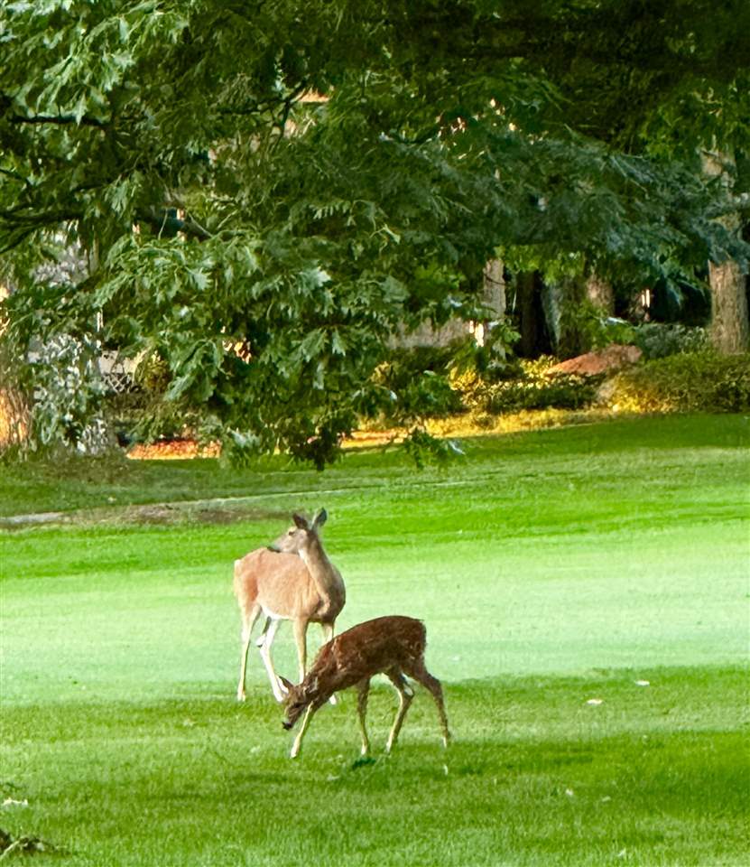 2226 Pinecrest Harbor Springs MI 49740