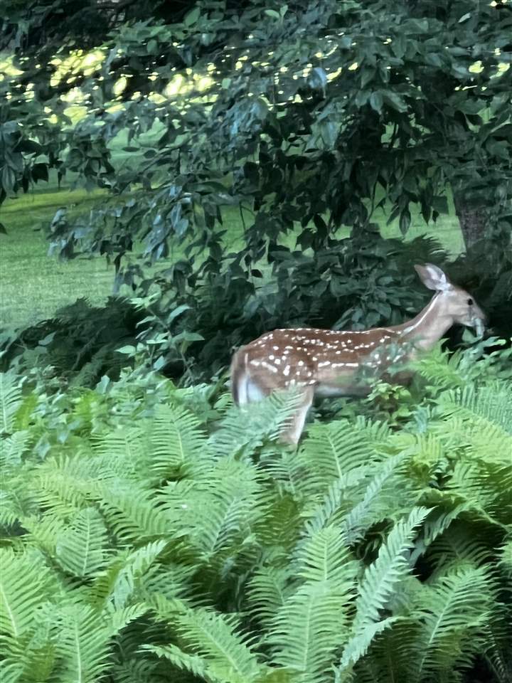 2226 Pinecrest Harbor Springs MI 49740