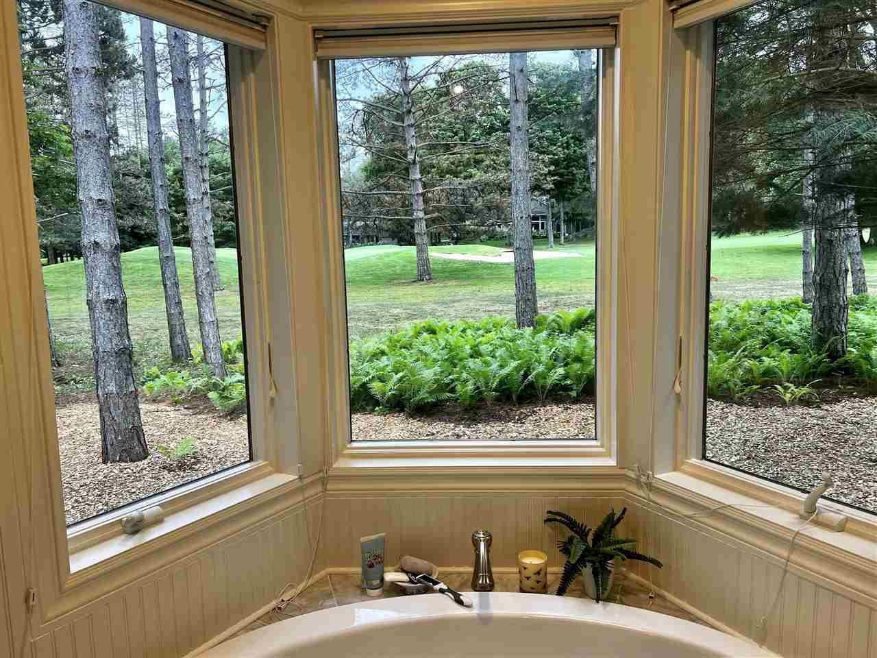 2226 Pinecrest Harbor Springs MI 49740