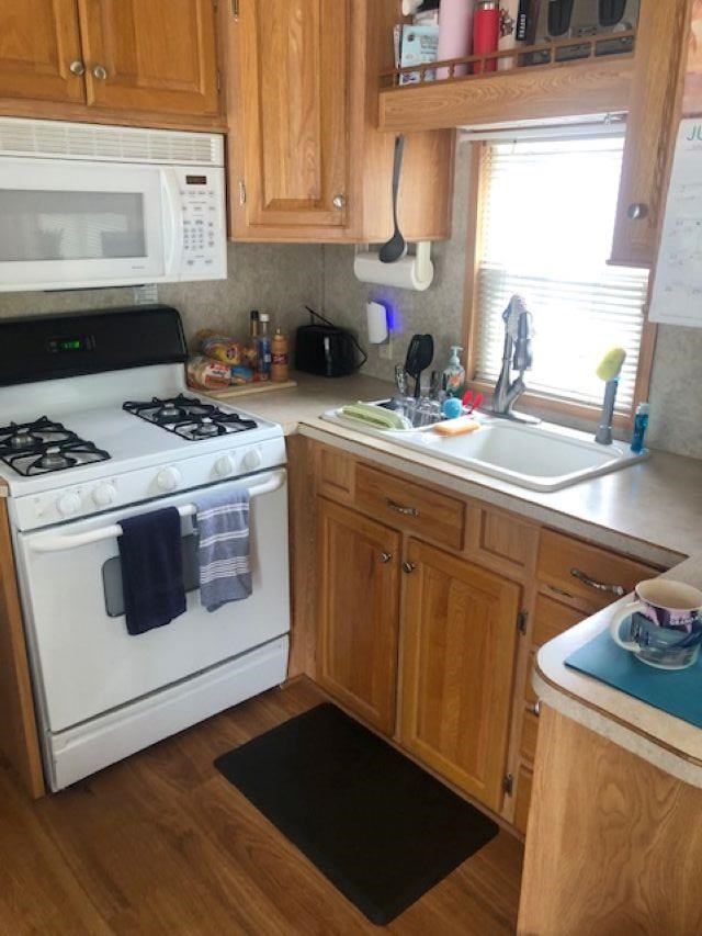 6731 San Juan Alanson MI 49706