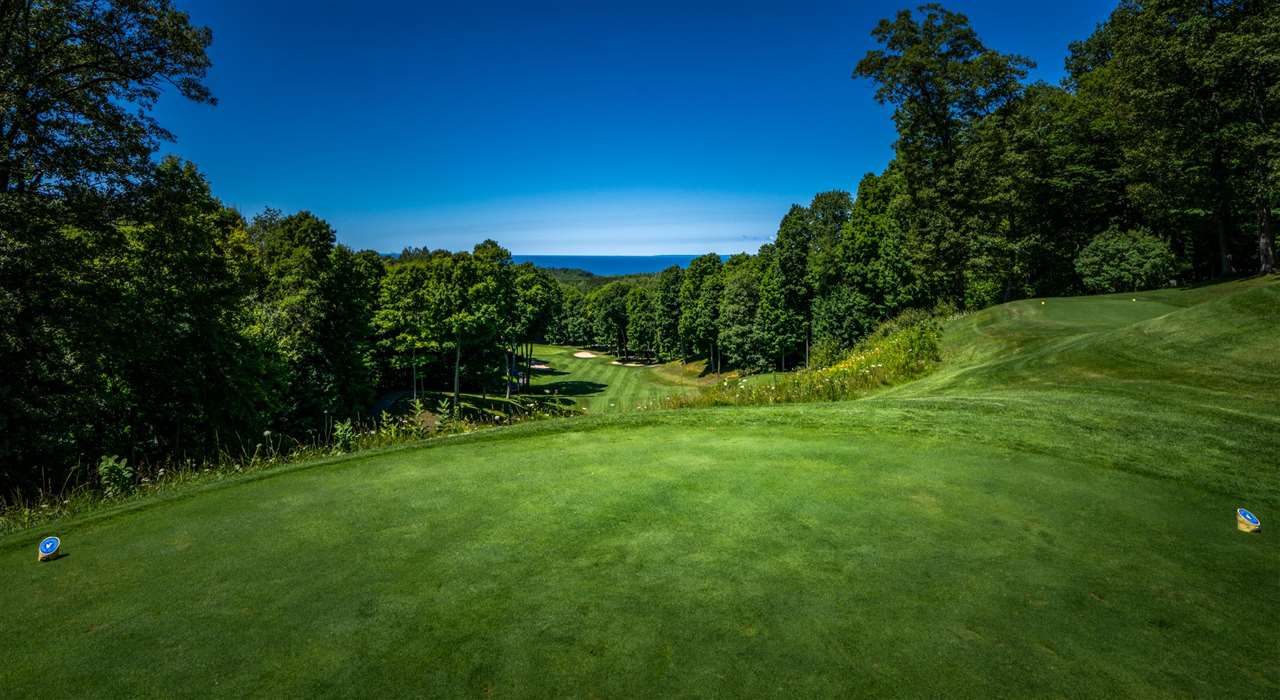 1509 Kingswood Harbor Springs MI 49740