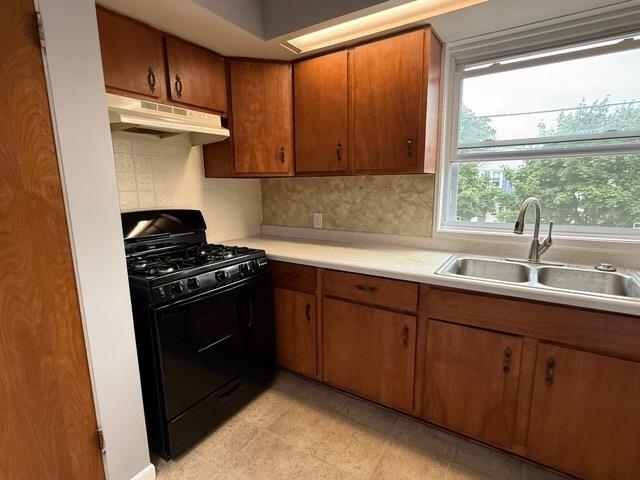 522 Liberty Street Petoskey MI 49770