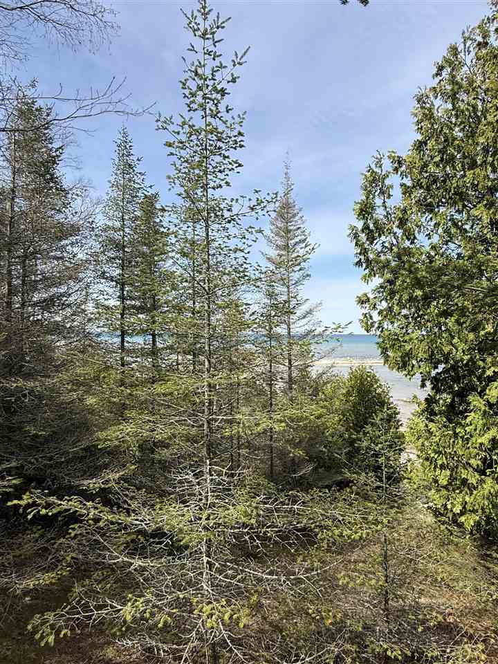 4195 Lakeshore Drive Charlevoix MI 49720
