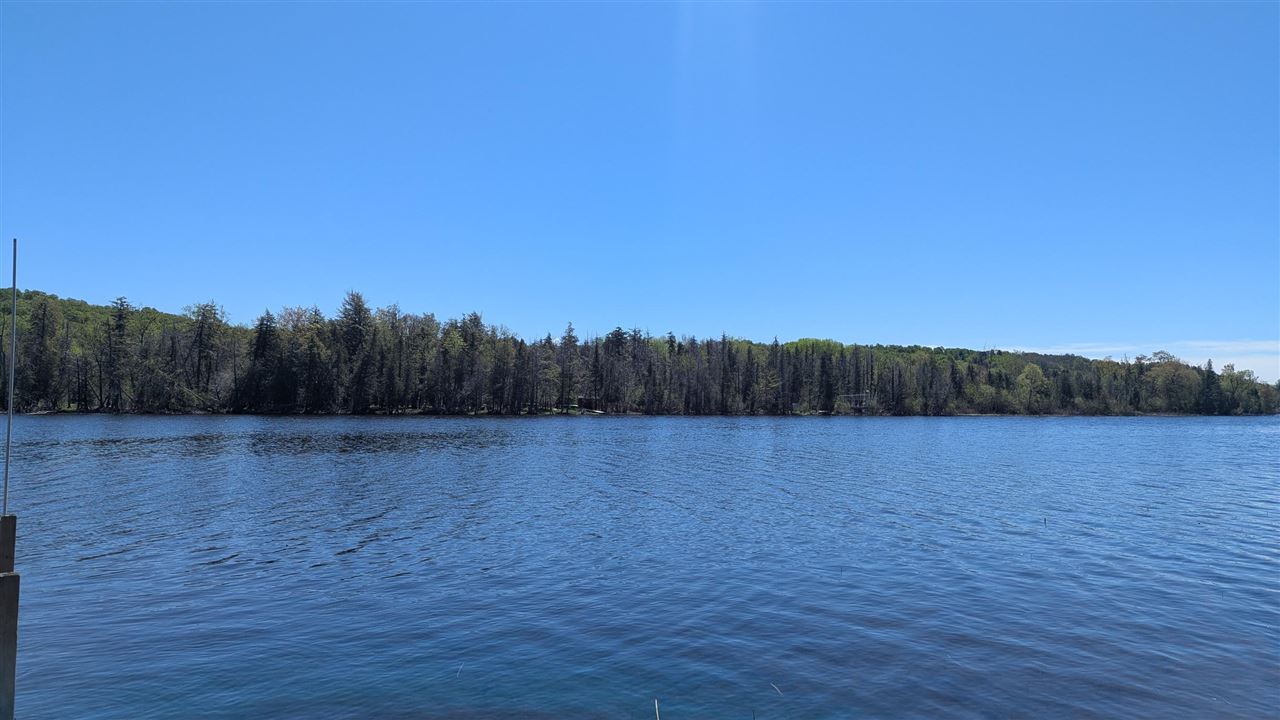 3520 Childs Lane Central Lake MI 49622