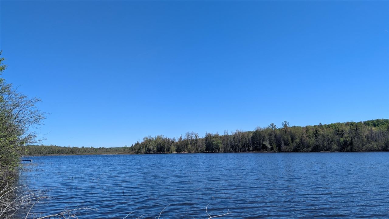 3520 Childs Lane Central Lake MI 49622