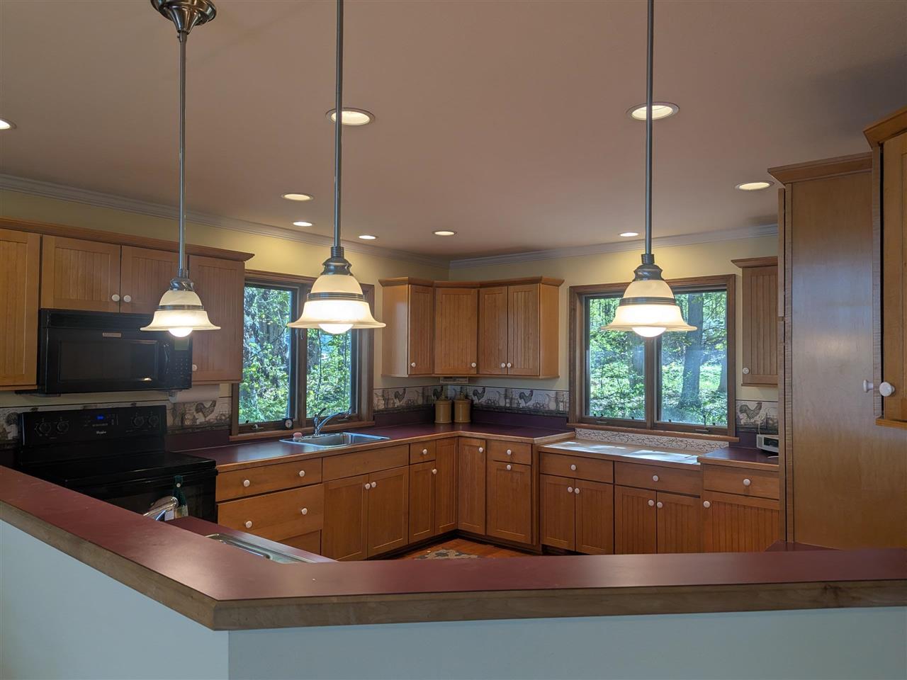 3520 Childs Lane Central Lake MI 49622