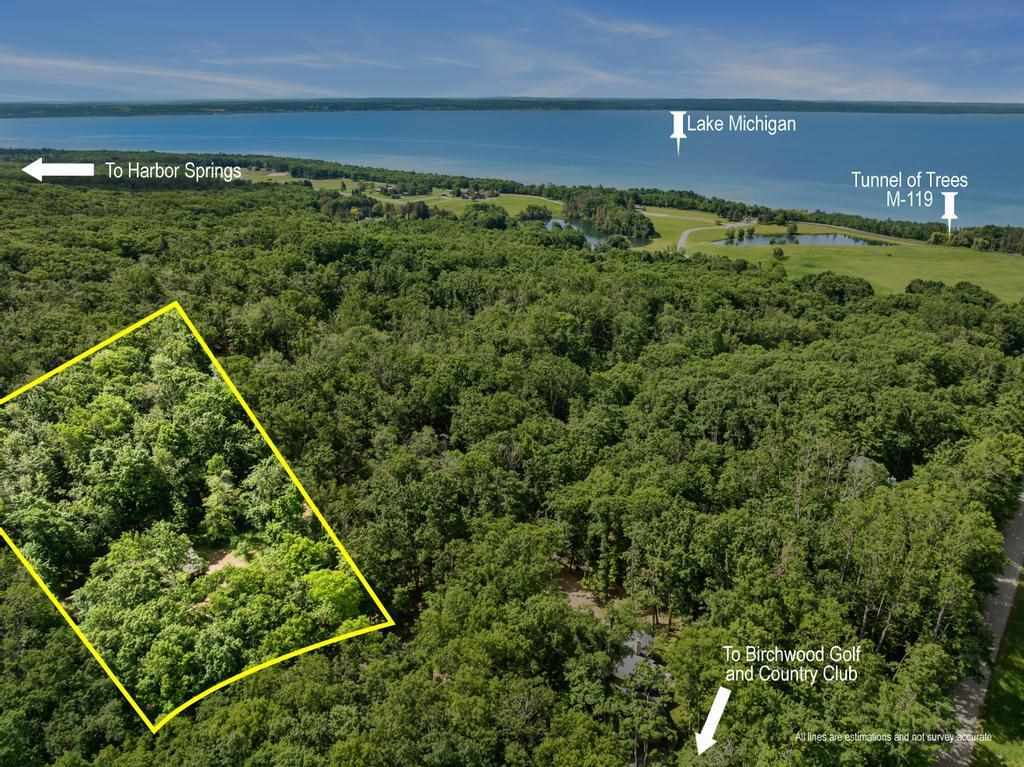 200 Birchwood Drive Harbor Springs MI 49740