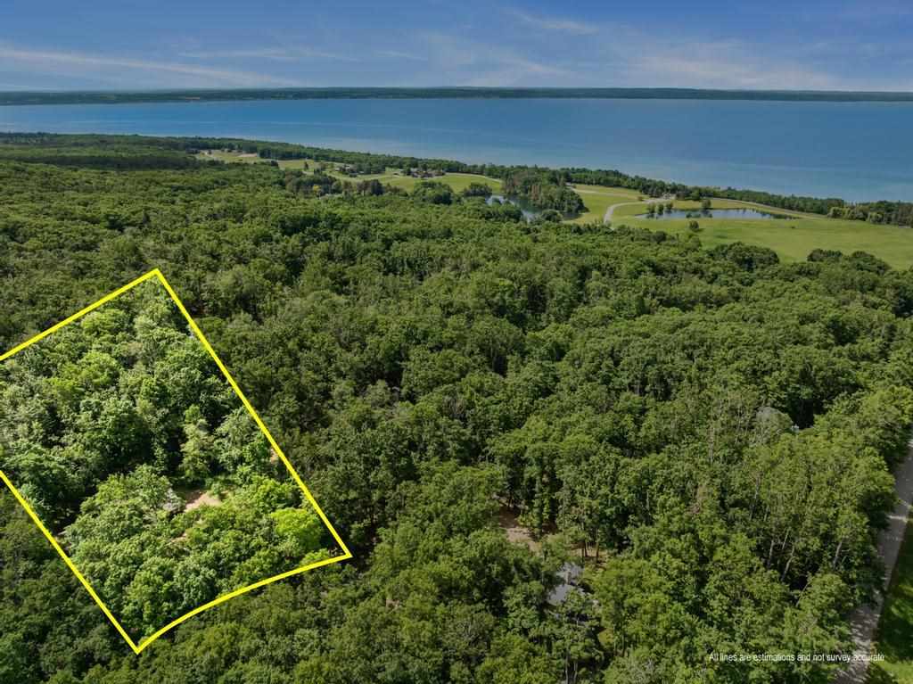 200 Birchwood Drive Harbor Springs MI 49740