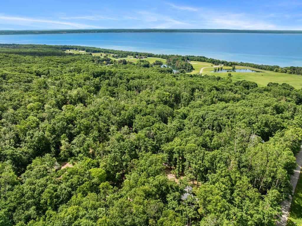 200 Birchwood Drive Harbor Springs MI 49740