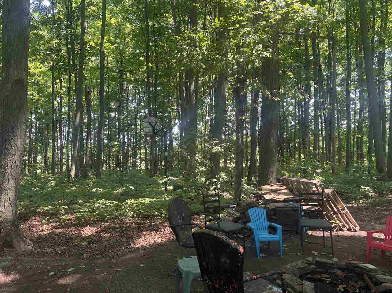 3312 Knipe Road Central Lake MI 49622