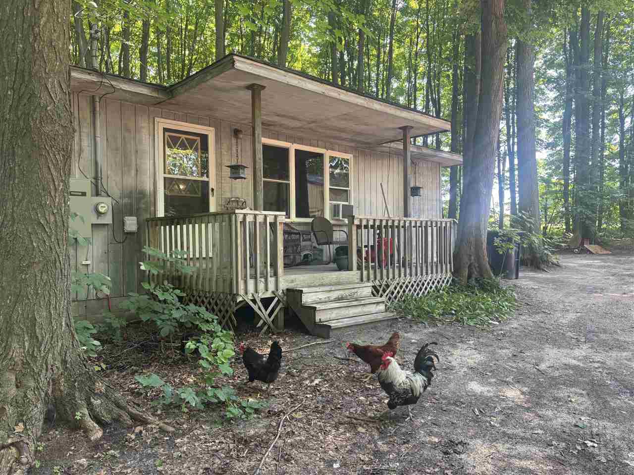 3312 Knipe Road Central Lake MI 49622