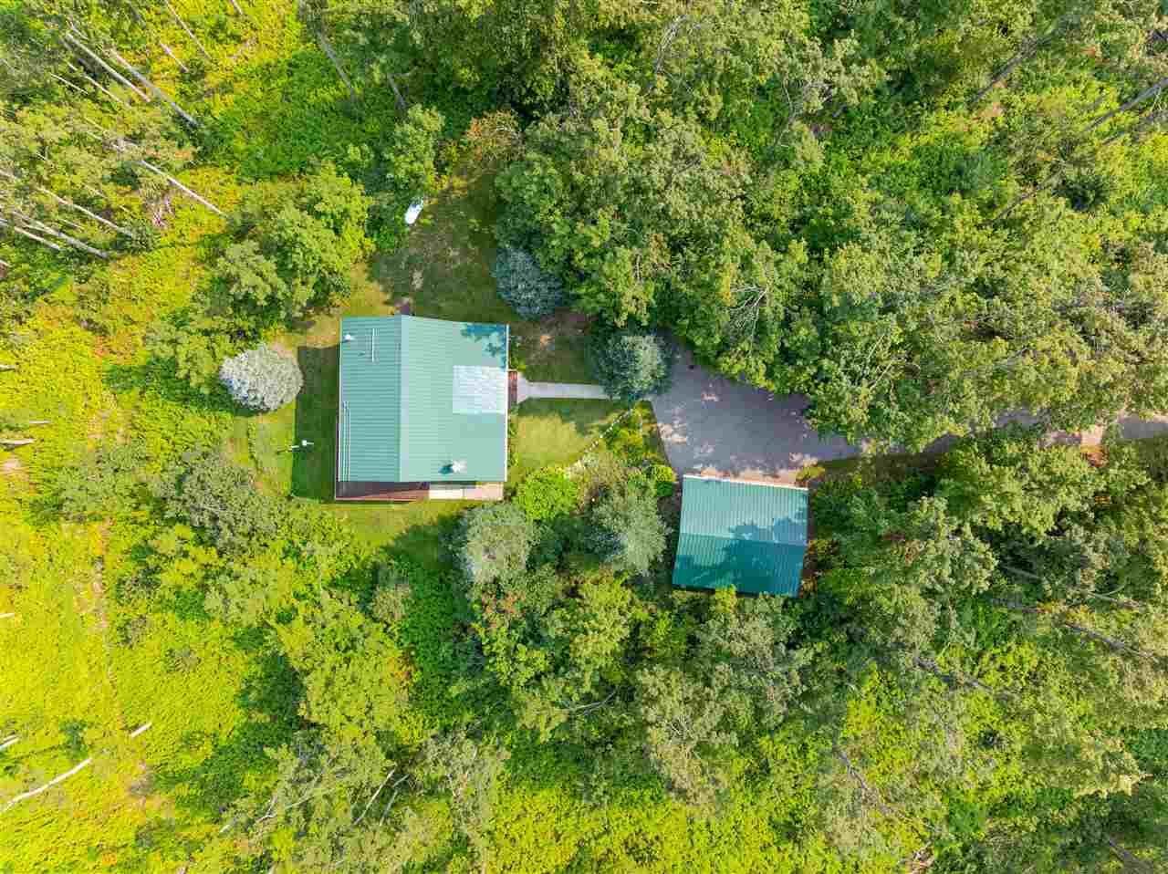 1796 Camp Ten Road Elmira MI 49730