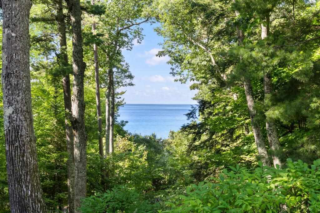 5140 Thorne Swift Court Harbor Springs MI 49740