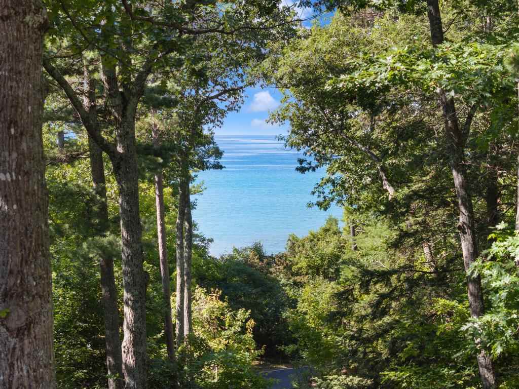 5140 Thorne Swift Court Harbor Springs MI 49740
