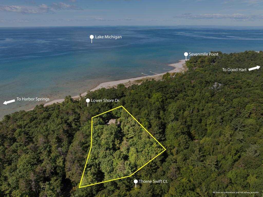 5140 Thorne Swift Court Harbor Springs MI 49740