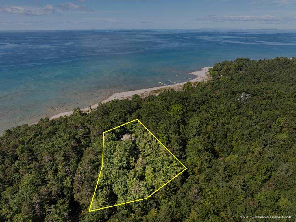 5140 Thorne Swift Court Harbor Springs MI 49740