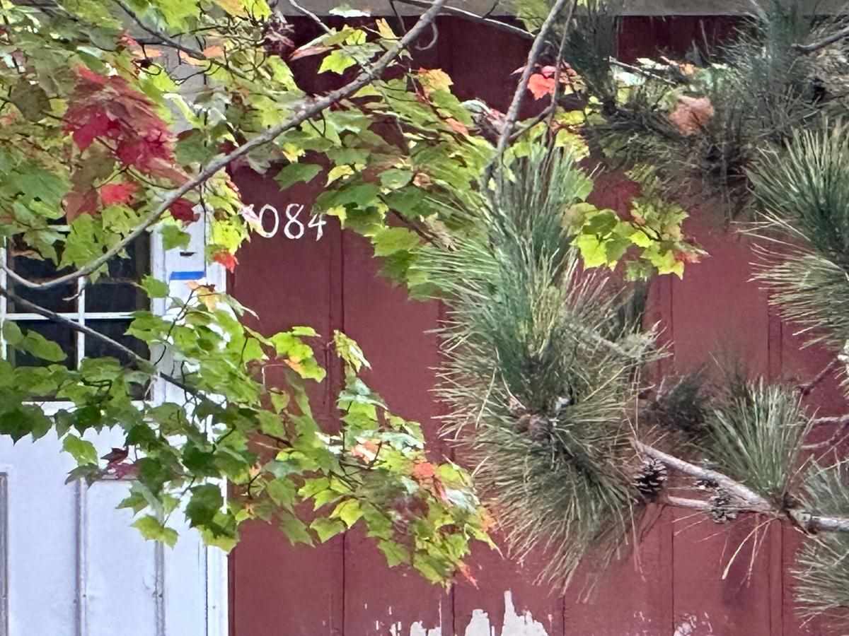 7084 Center Street Alanson MI 49706