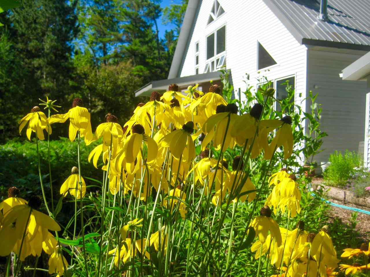 32075 East Side Drive Beaver Island MI 49782