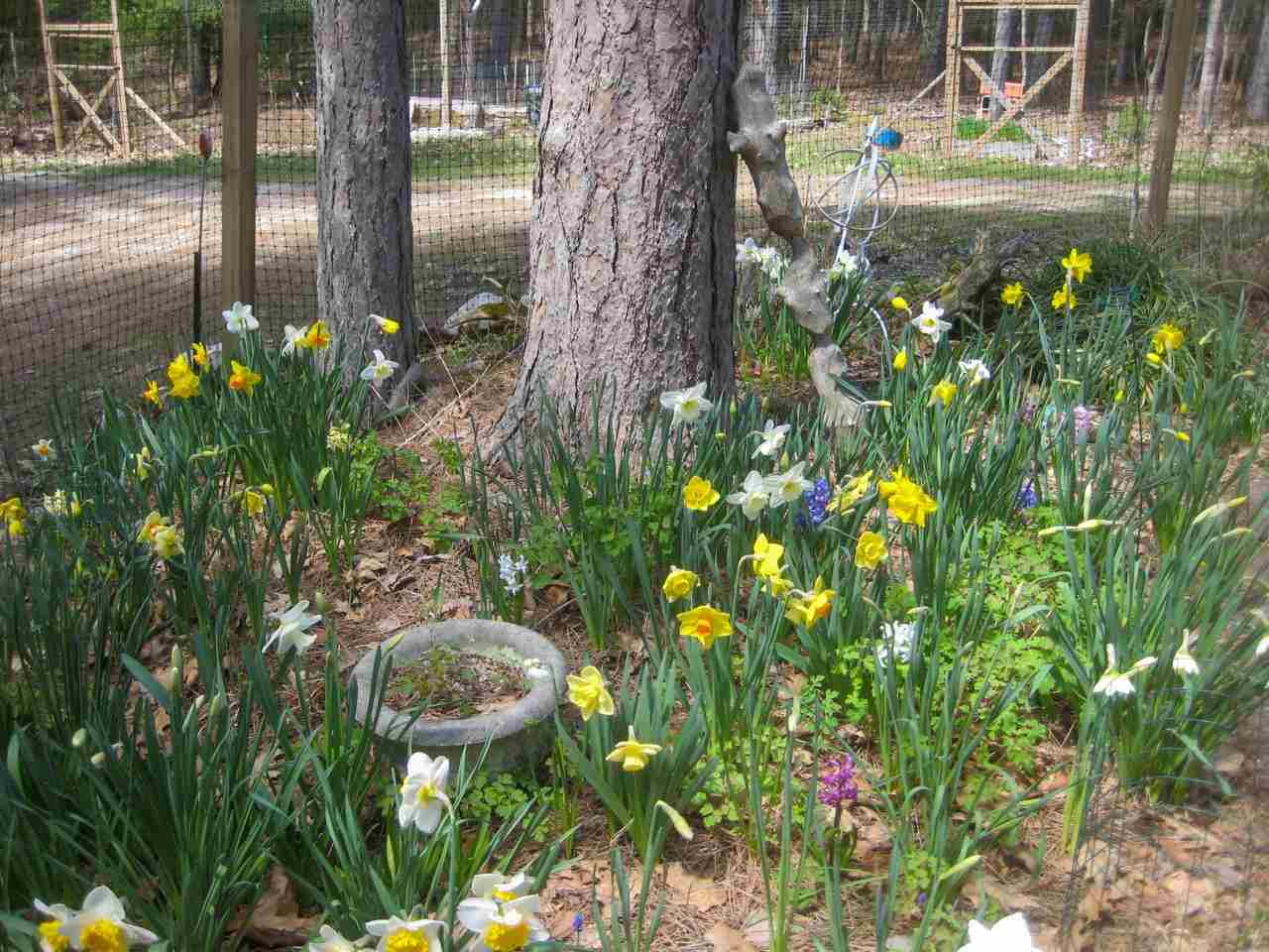 32075 East Side Drive Beaver Island MI 49782