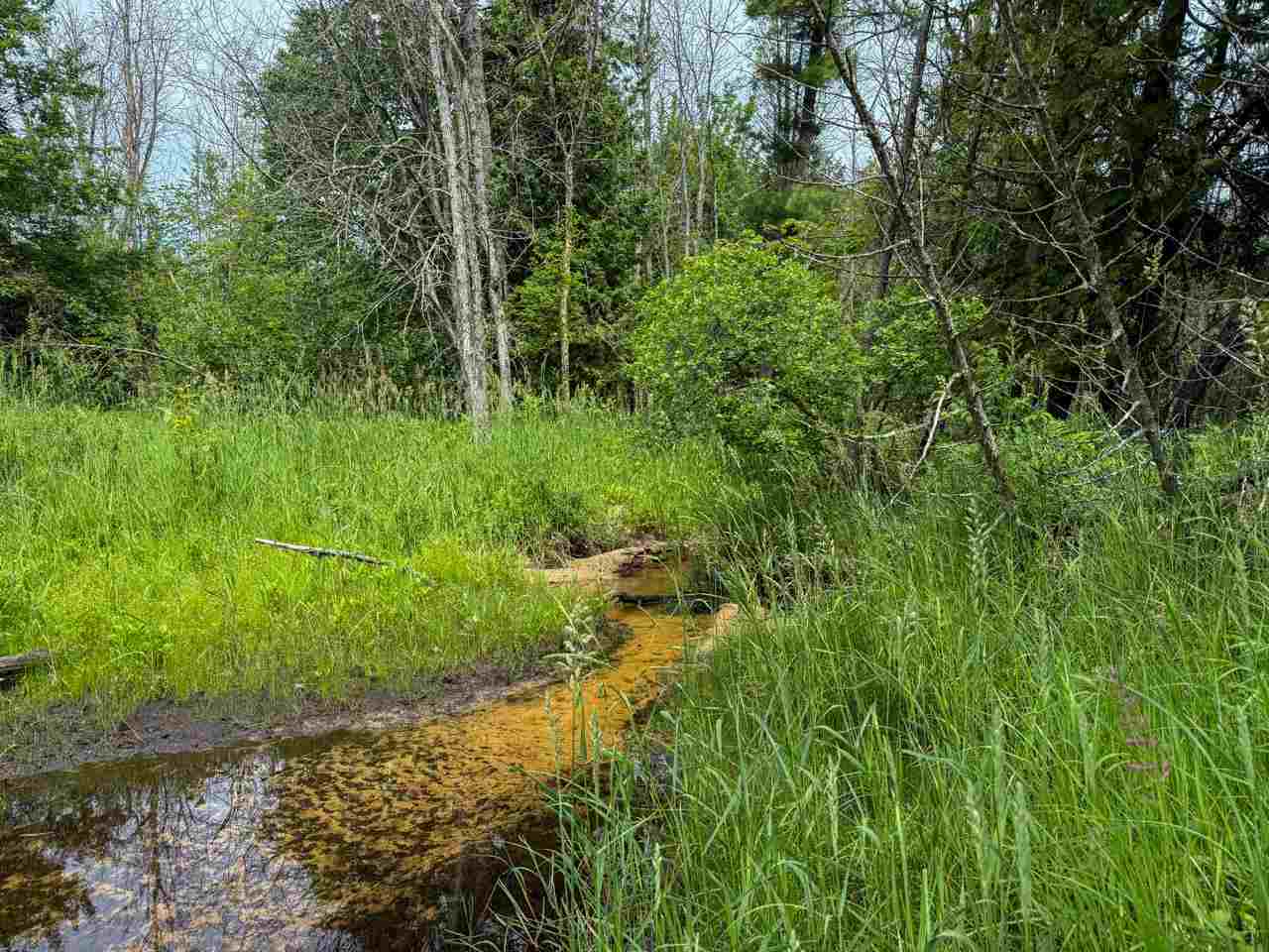 32075 East Side Drive Beaver Island MI 49782