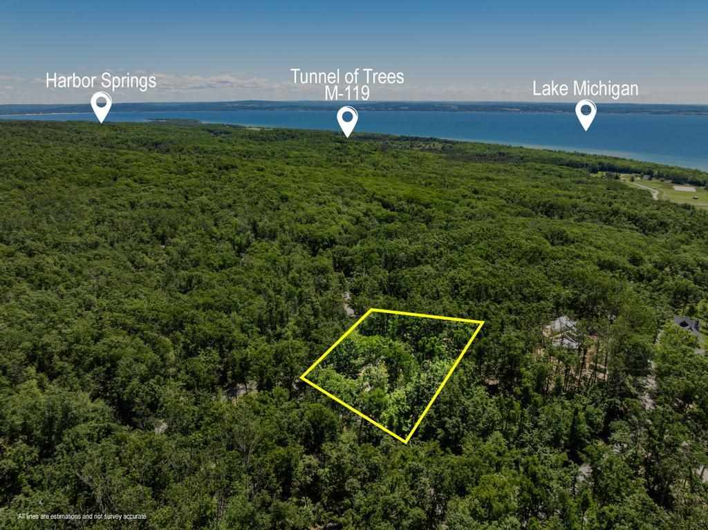 1595 Broken Bow Harbor Springs MI 49740