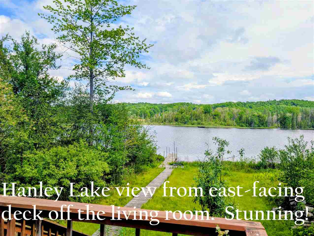 3650 Childs Lane Central Lake MI 49622