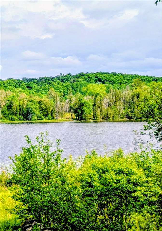 3650 Childs Lane Central Lake MI 49622
