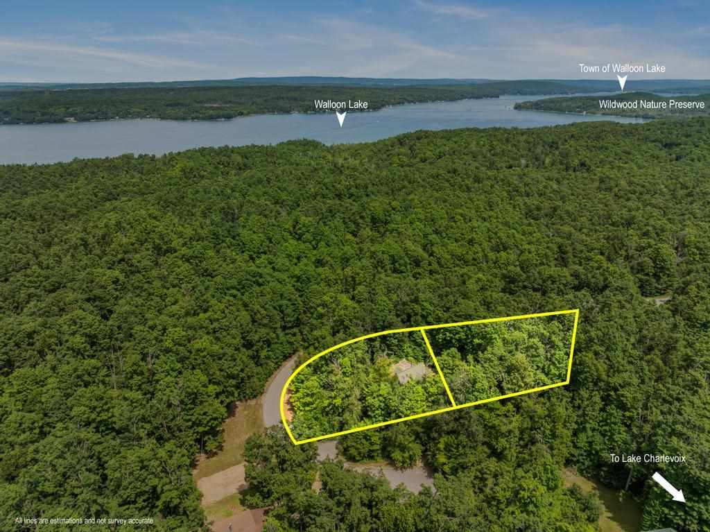 04480 Walloon Court Boyne City MI 49712