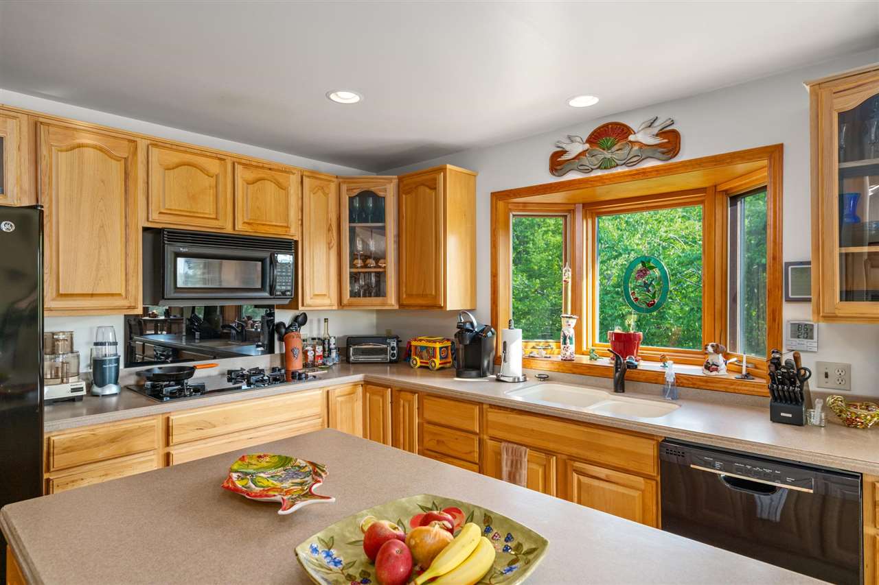 10077 Royal Coachman Trail Gaylord MI 49735