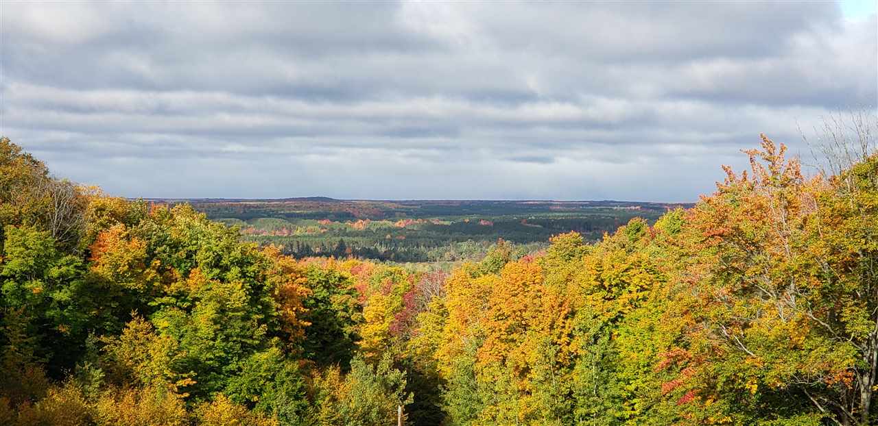 10077 Royal Coachman Trail Gaylord MI 49735