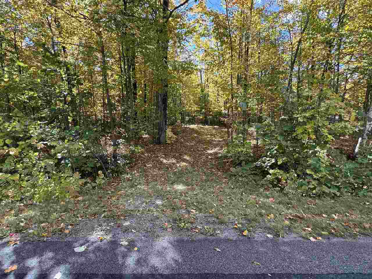 2230 Mann Road Cheboygan MI 49721