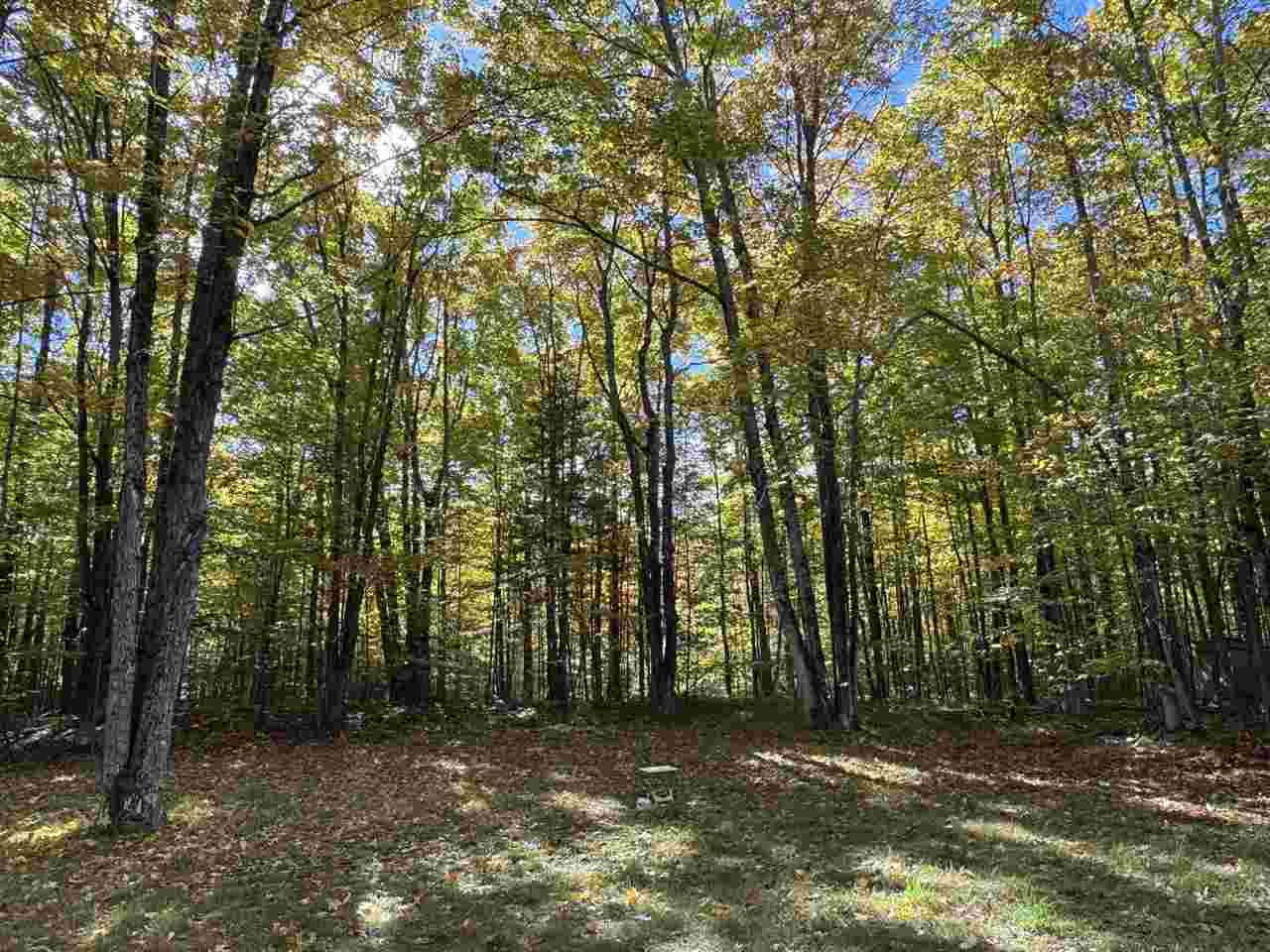 2230 Mann Road Cheboygan MI 49721
